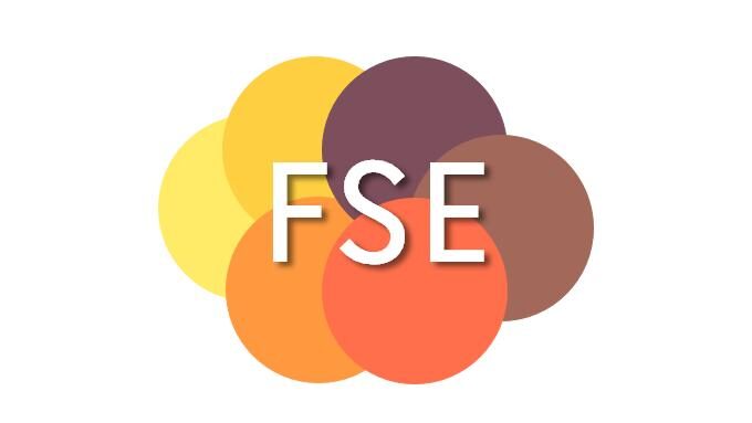 Logo FSE